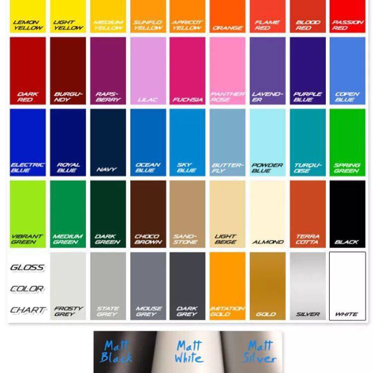 Scorpion Fender Stripes